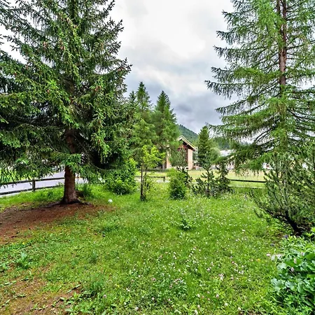Chesa Tussilago - Apartment