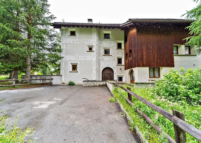 Daire Chesa Tussilago - *